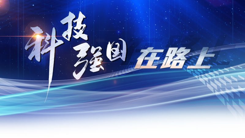 软件测试报告模板：构建可靠性的关键步骤